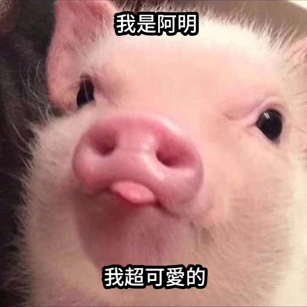 我是阿明 我超可愛的