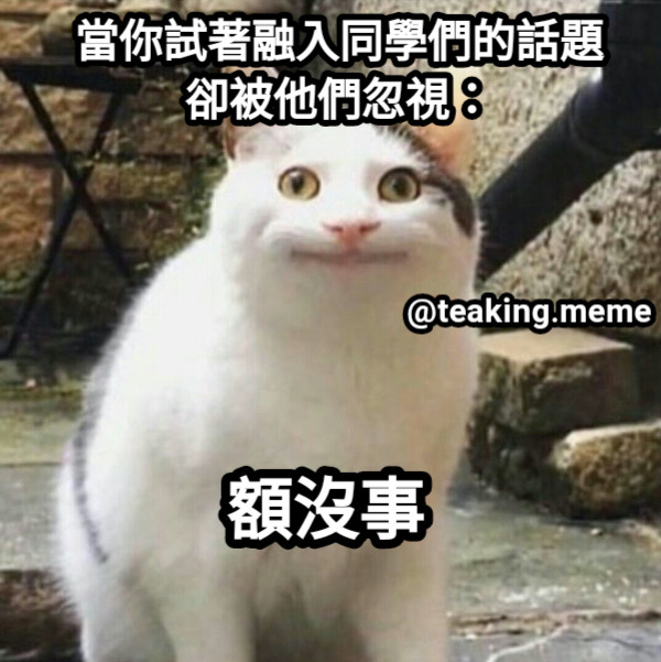 當你試著融入同學們的話題 卻被他們忽視： @teaking.meme 額沒事