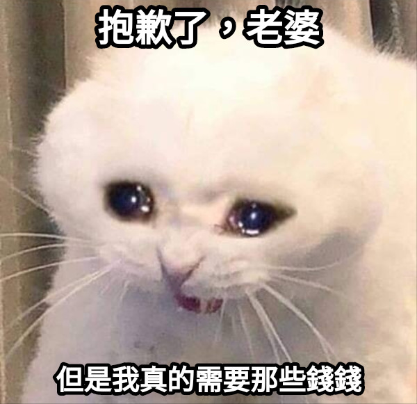 抱歉了，老婆 但是我真的需要那些錢錢