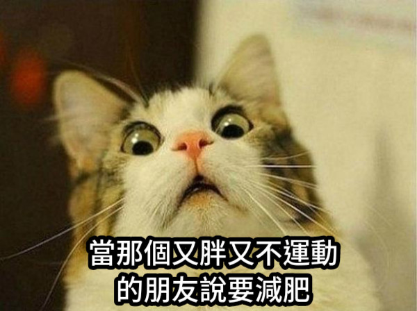 當那個又胖又不運動的朋友說要減肥