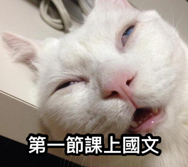 第一節課上國文