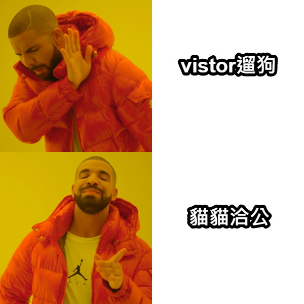 vistor遛狗 貓貓洽公