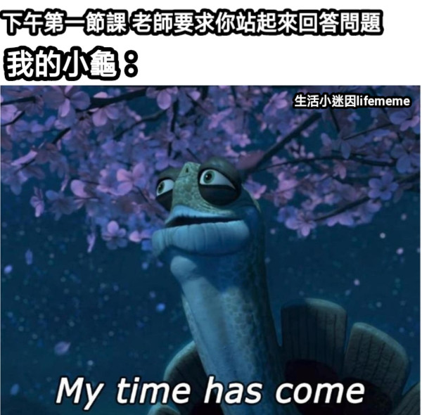 下午第一節課 老師要求你站起來回答問題 我的小龜： 生活小迷因lifememe