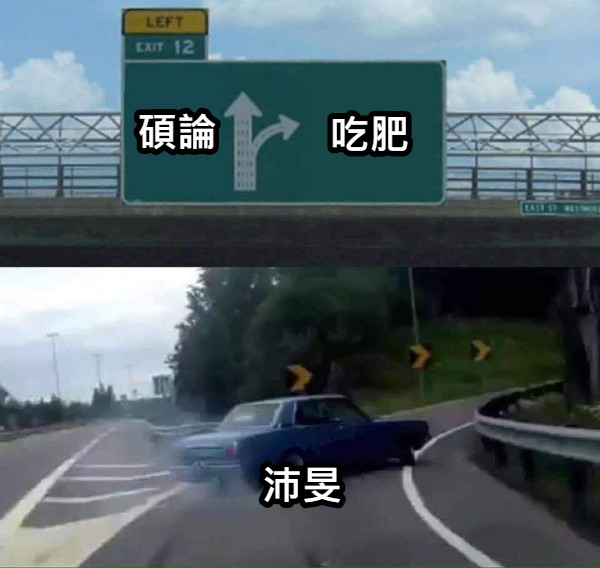 碩論 吃肥 沛旻