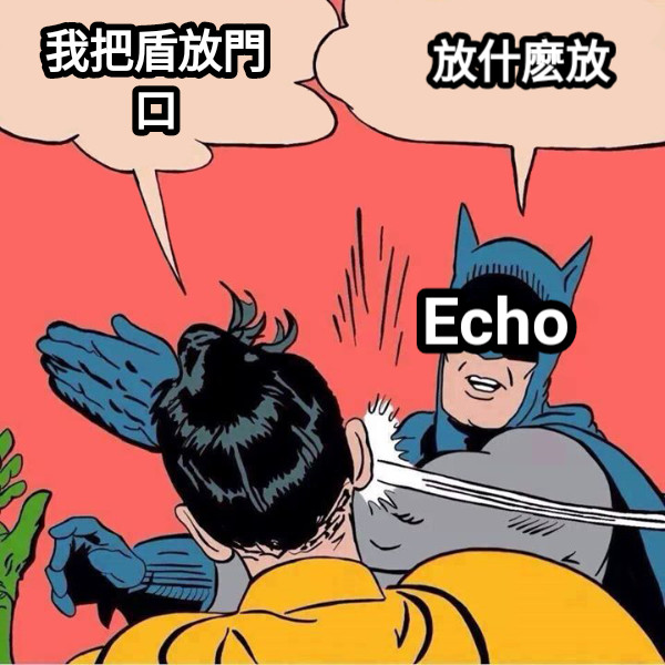 我把盾放門口 Echo 放什麽放