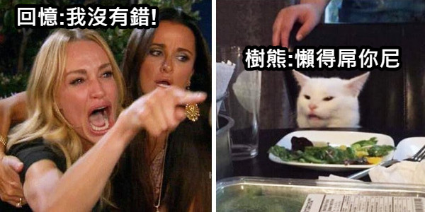 回憶:我沒有錯! 樹熊:懶得屌你尼