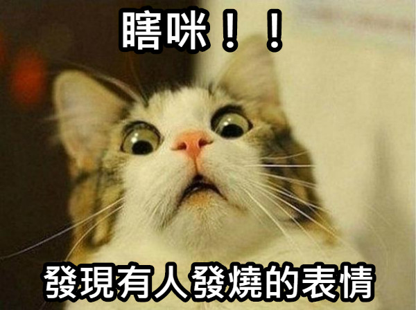 瞎咪！！ 發現有人發燒的表情