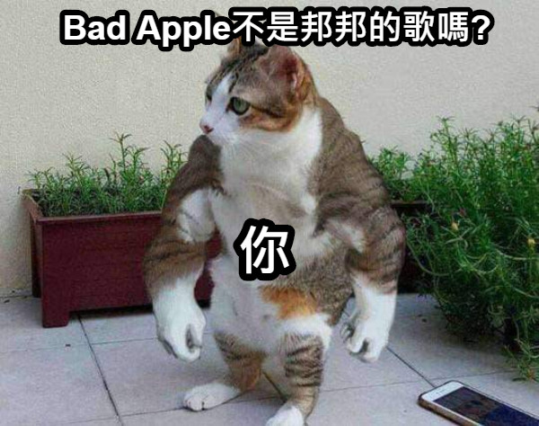 Bad Apple不是邦邦的歌嗎? 你