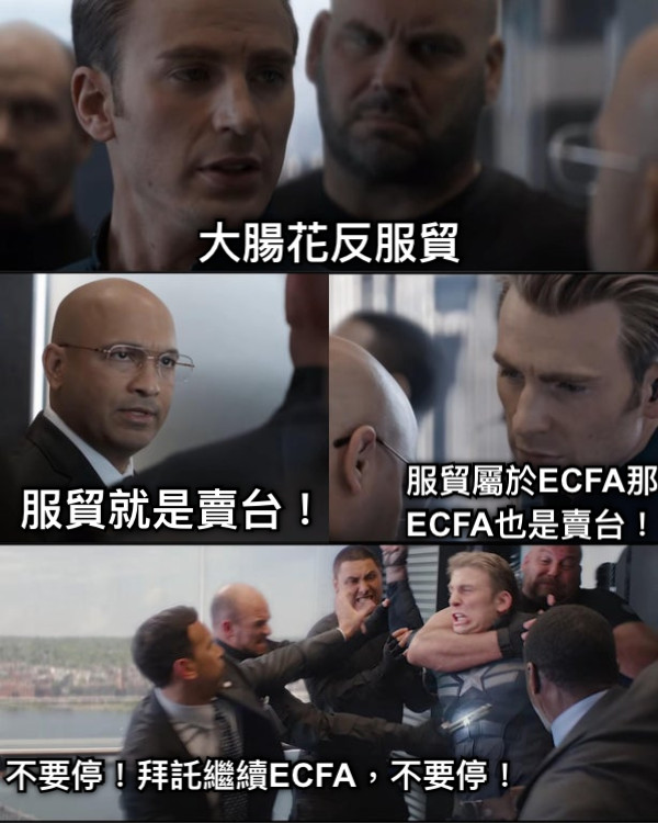大腸花反服貿 服貿就是賣台！ 服貿屬於ECFA那 ECFA也是賣台！ 不要停！拜託繼續ECFA，不要停！