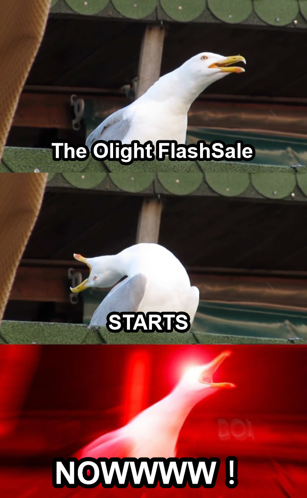 The Olight FlashSale STARTS NOWWWW！