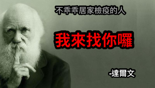 不乖乖居家檢疫的人 我來找你囉 -達爾文