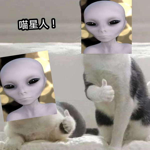 喵星人！