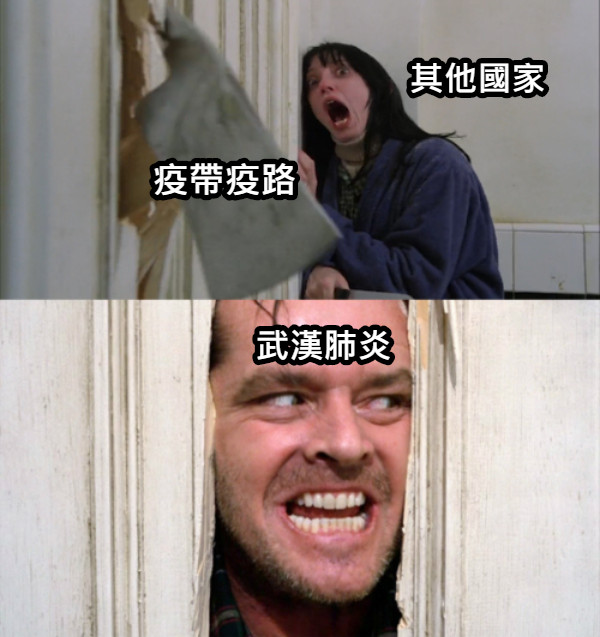 疫帶疫路 其他國家 武漢肺炎