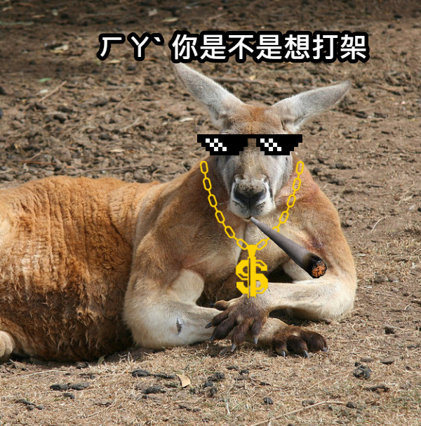ㄏㄚˋ 你是不是想打架