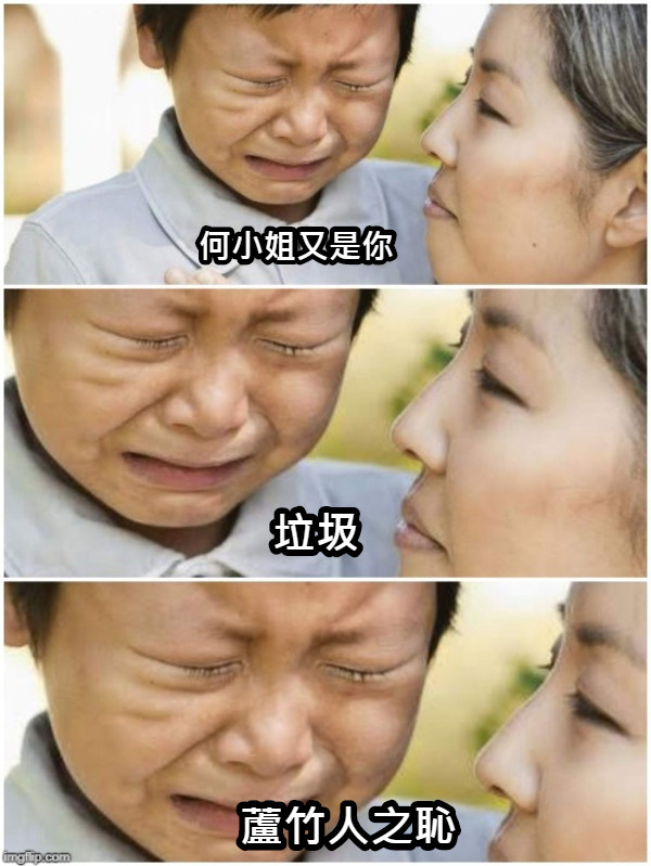 何小姐又是你 垃圾 蘆竹人之恥