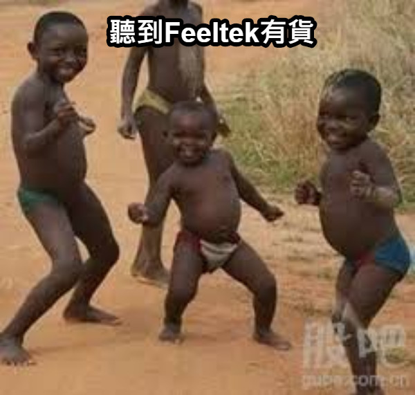 聽到Feeltek有貨