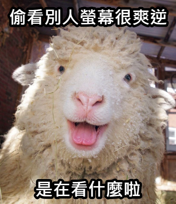 偷看別人螢幕很爽逆 是在看什麼啦