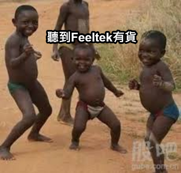 聽到Feeltek有貨