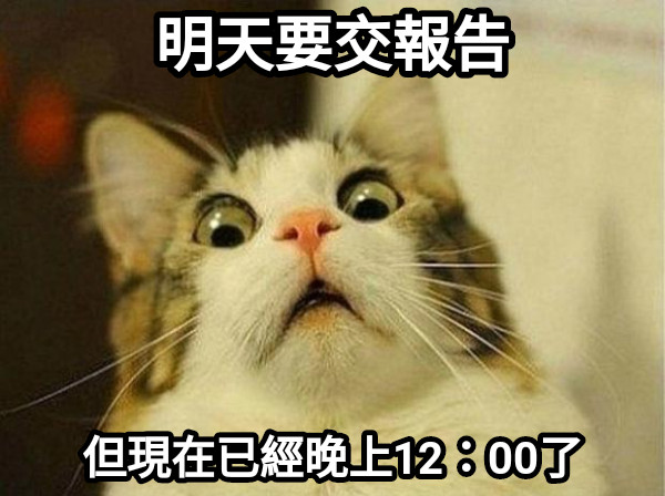 明天要交報告 但現在已經晚上12：00了