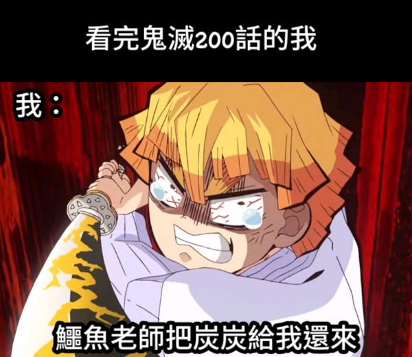 看完鬼滅200話的我 我： 鱷魚老師把炭炭給我還來