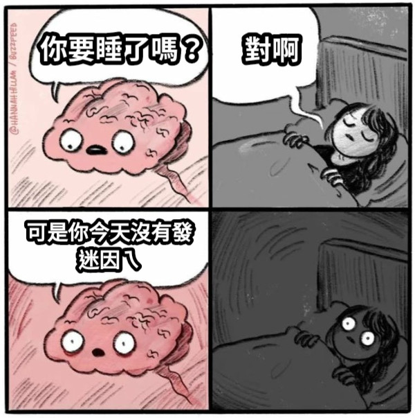 你要睡了嗎？ 對啊 可是你今天沒有發 迷因ㄟ
