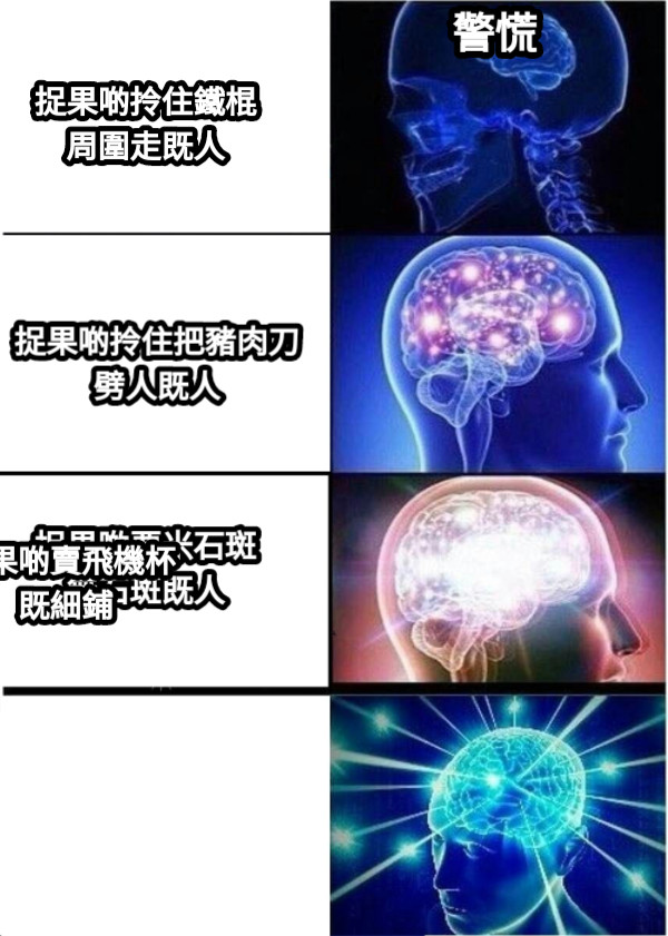 捉果啲拎住鐵棍周圍走既人 捉果啲拎住把豬肉刀劈人既人 捉果啲粟米石斑無石斑既人 捉果啲賣飛機杯既細鋪 警慌