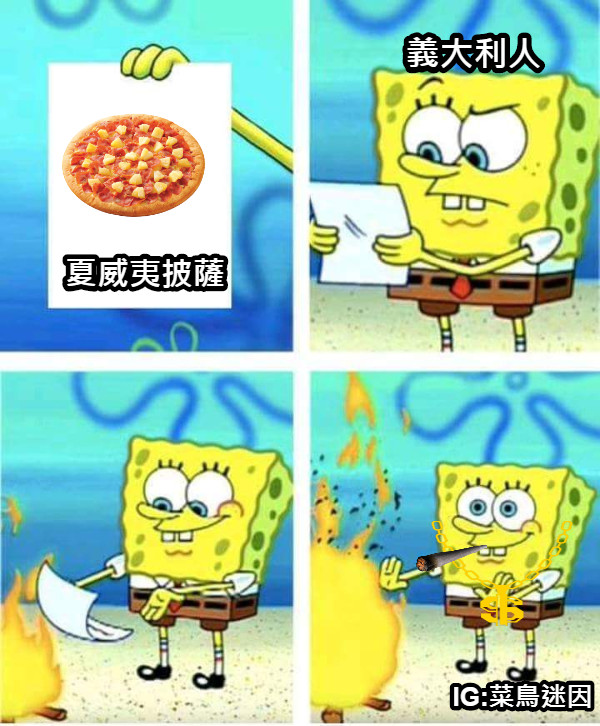 夏威夷披薩 義大利人 IG:菜鳥迷因