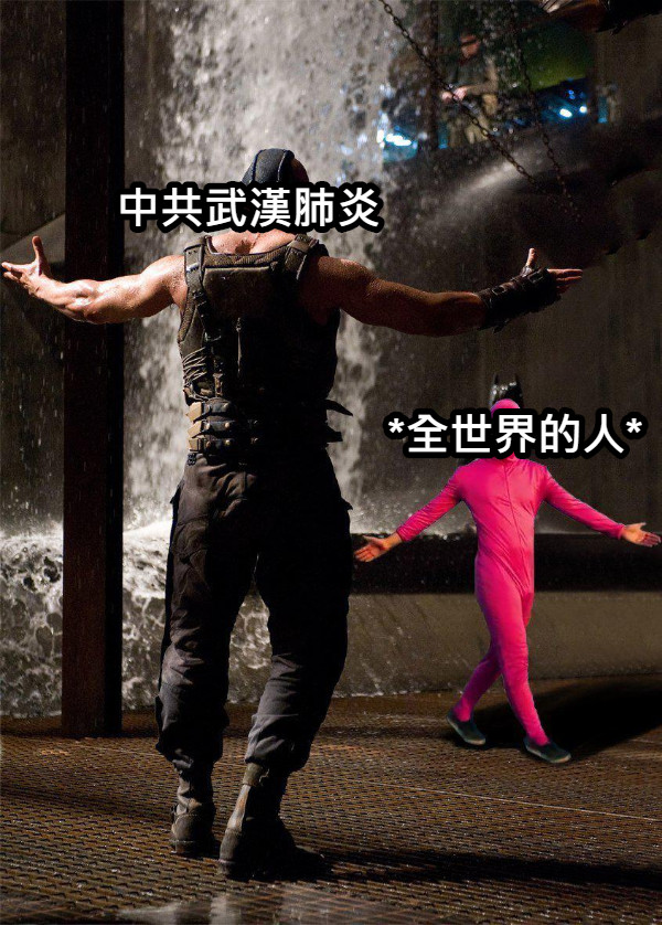 中共武漢肺炎 *全世界的人*