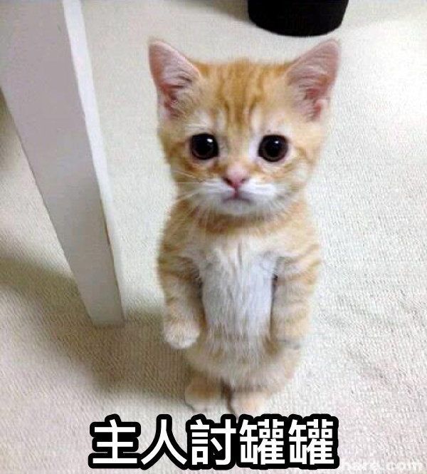 主人討罐罐