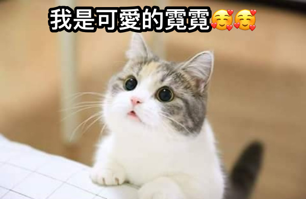 我是可愛的霓霓🥰🥰