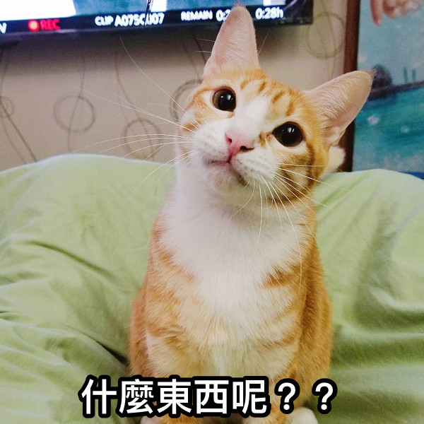 什麼東西呢？？