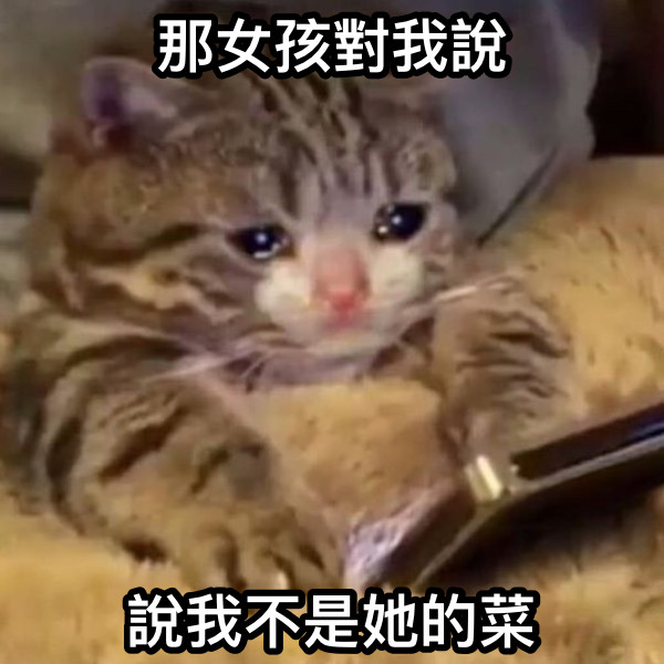 那女孩對我說 說我不是她的菜