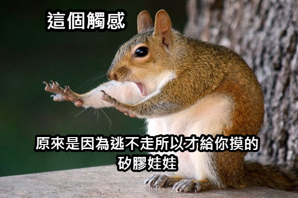 這個觸感 原來是因為逃不走所以才給你摸的矽膠娃娃