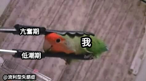 亢奮期 低潮期 我