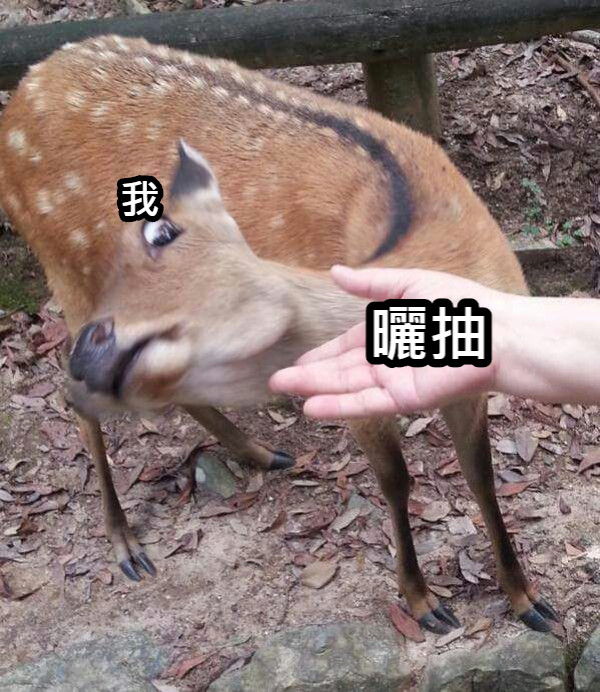 曬抽 我