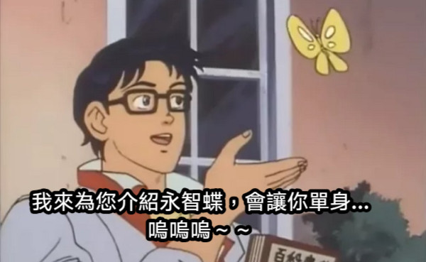 我來為您介紹永智蝶，會讓你單身...嗚嗚嗚～～