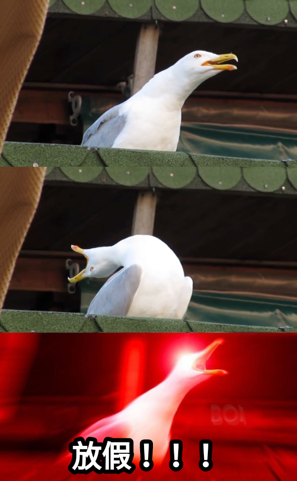 放假！！！