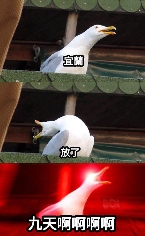 宜蘭 放了 九天啊啊啊啊