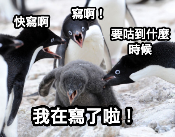 寫啊！ 快寫啊 要咕到什麼時候 我在寫了啦！