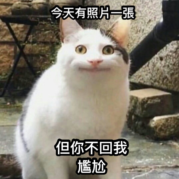 今天有照片一張 但你不回我 尷尬