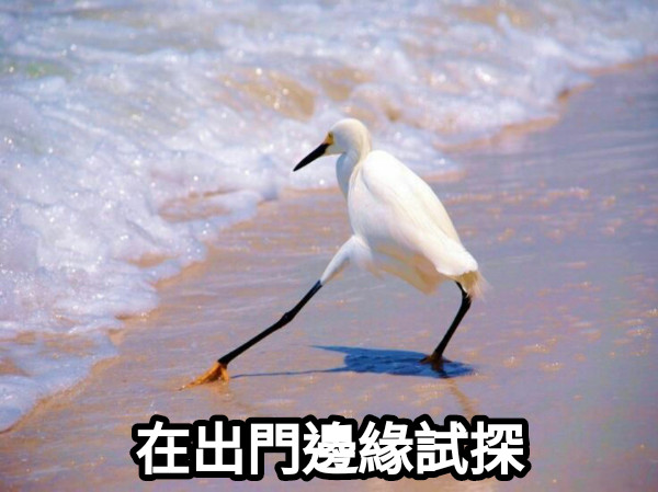 在出門邊緣試探