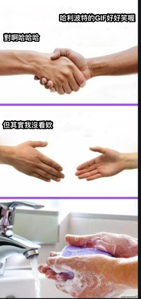 哈利波特的GIF好好笑喔 對啊哈哈哈 但其實我沒看欸