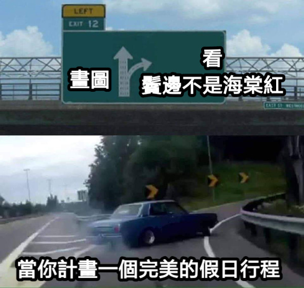 畫圖 看 鬢邊不是海棠紅 當你計畫一個完美的假日行程