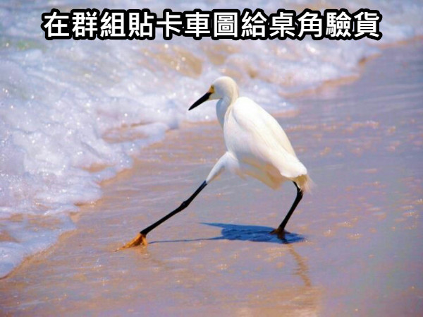 在群組貼卡車圖給桌角驗貨