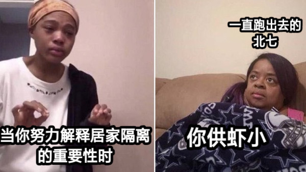 当你努力解释居家隔离 的重要性时 一直跑出去的 北七 你供虾小