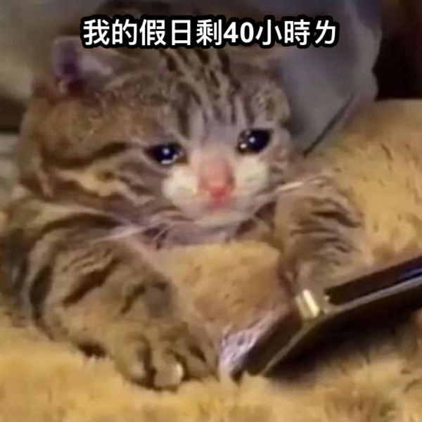 我的假日剩40小時ㄌ