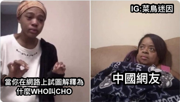 當你在網路上試圖解釋為什麼WHO叫CHO 中國網友 IG:菜鳥迷因