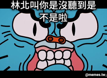 林北叫你是沒聽到是不是啦