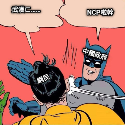 NCP啦幹 網民 中國政府 武漢ㄈ……