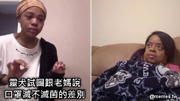 靈犬試圖跟老媽說 口罩滅不滅菌的差別